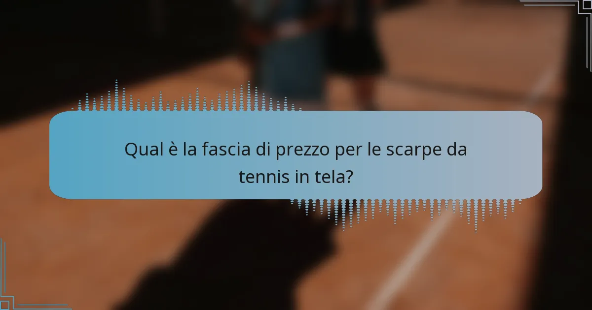 Qual è la fascia di prezzo per le scarpe da tennis in tela?